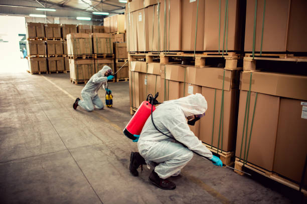 Best Best Pest Control Companies  in Oakdale, NY