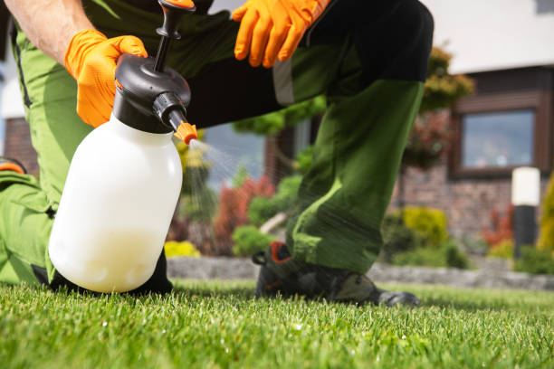 Best Pest Prevention Services  in Oakdale, NY
