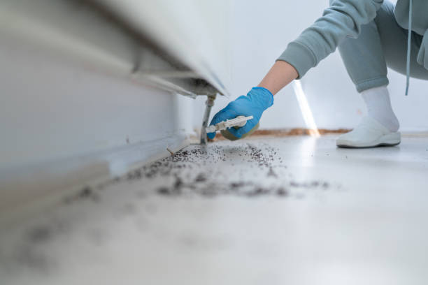 Professional Pest Control in Oakdale, NY